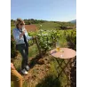 Bon Cadeau Visite et Dégustation en Beaujolais| Offrez une expérience