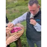 Bon Cadeau Visite et Dégustation en Beaujolais| Offrez une expérience