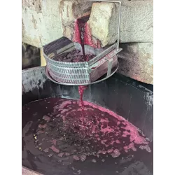 Bon Cadeau Visite & Dégustation Beaujolais pour 2 | Offrez un Duo