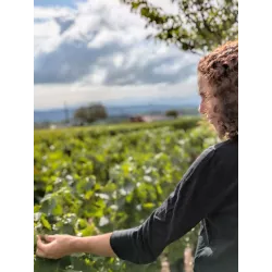 Box Cadeau :  Vin, Chocolat & Immersion en  Beaujolais