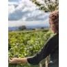 Box Cadeau :  Vin, Chocolat & Immersion en  Beaujolais
