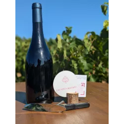 Box initiation à la dégustation : Vin & contenu pour apprendre