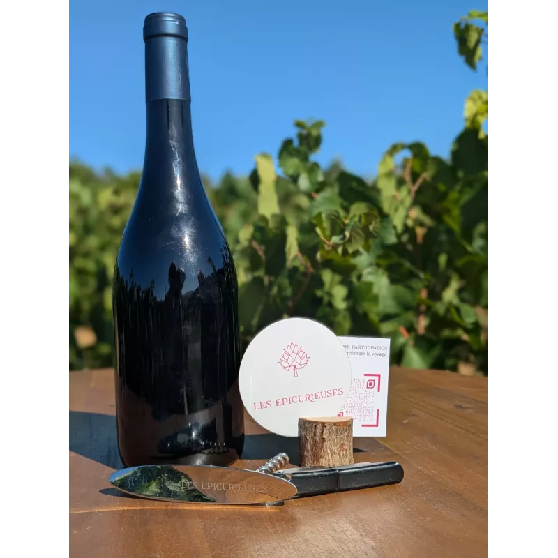 Box initiation à la dégustation : Vin & contenu pour apprendre