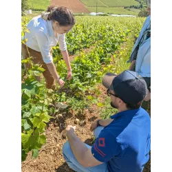 Déroulé des ateliers immersifs Les Epicurieuses - Visite de vignes