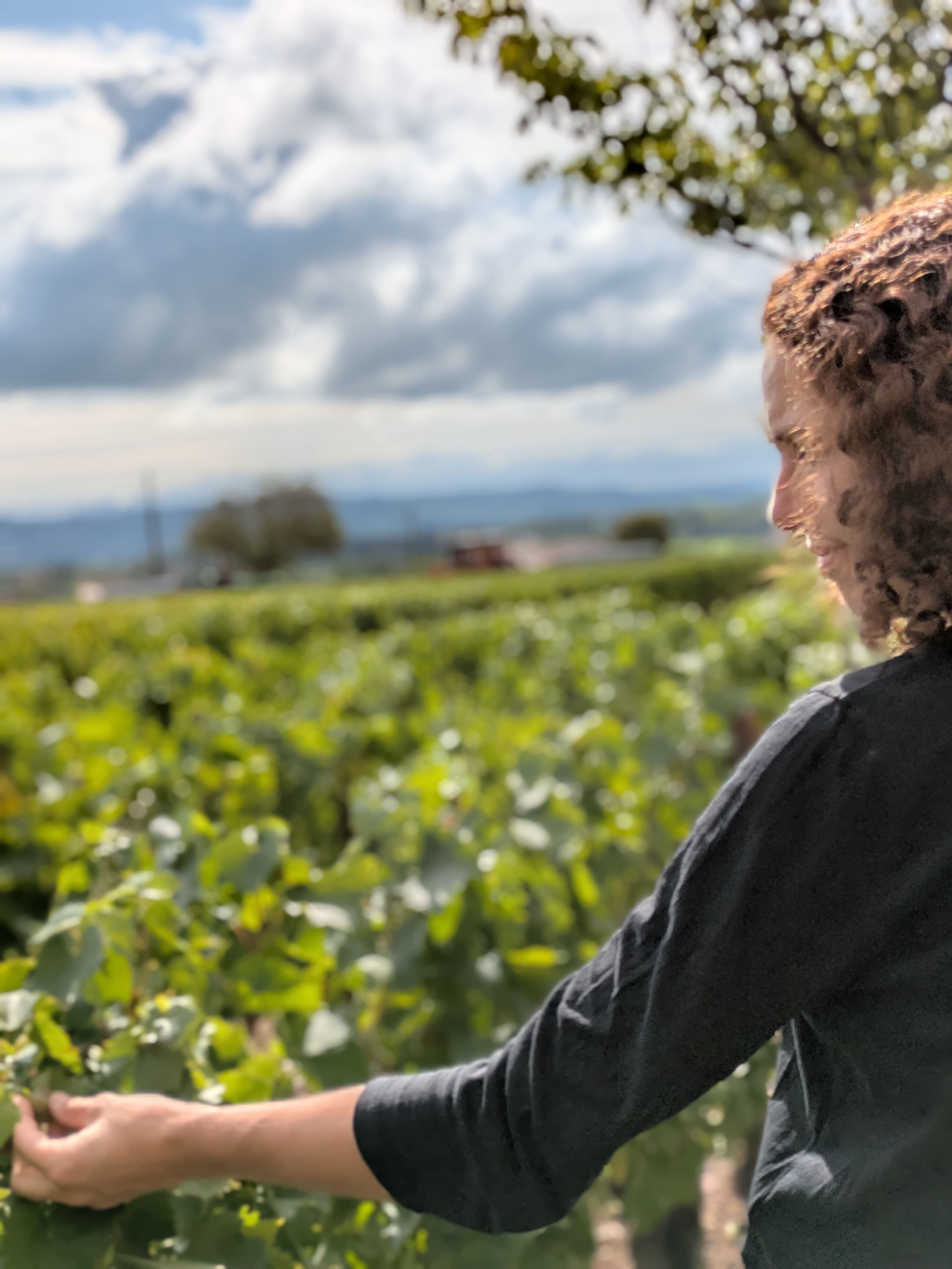 20250909 esthetique ines vendanges vigne baluce bagnol.jpg